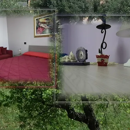 Il Sorriso Bed & Breakfast *